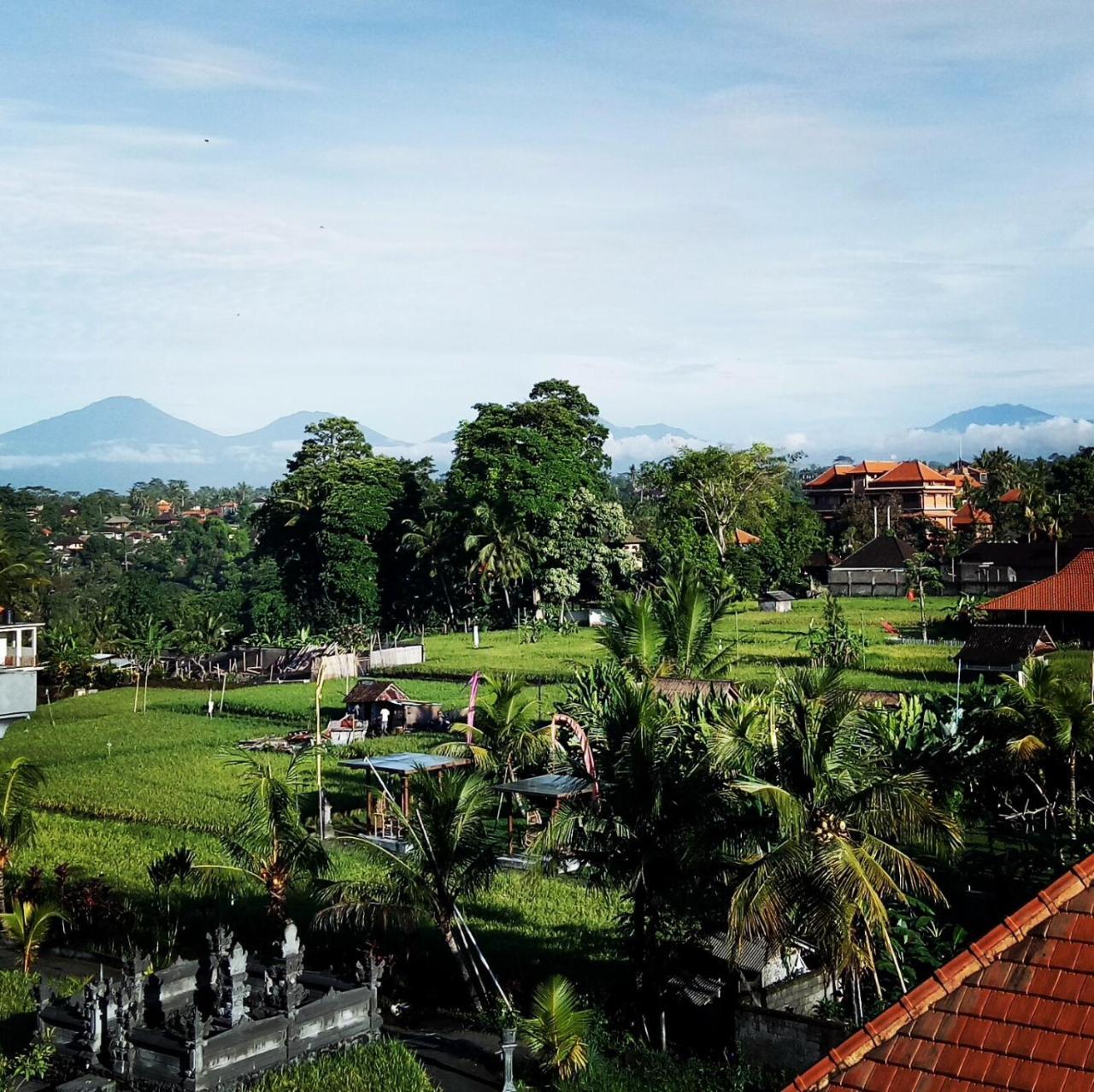 Hibiscus Cottages Ubud Exterior foto