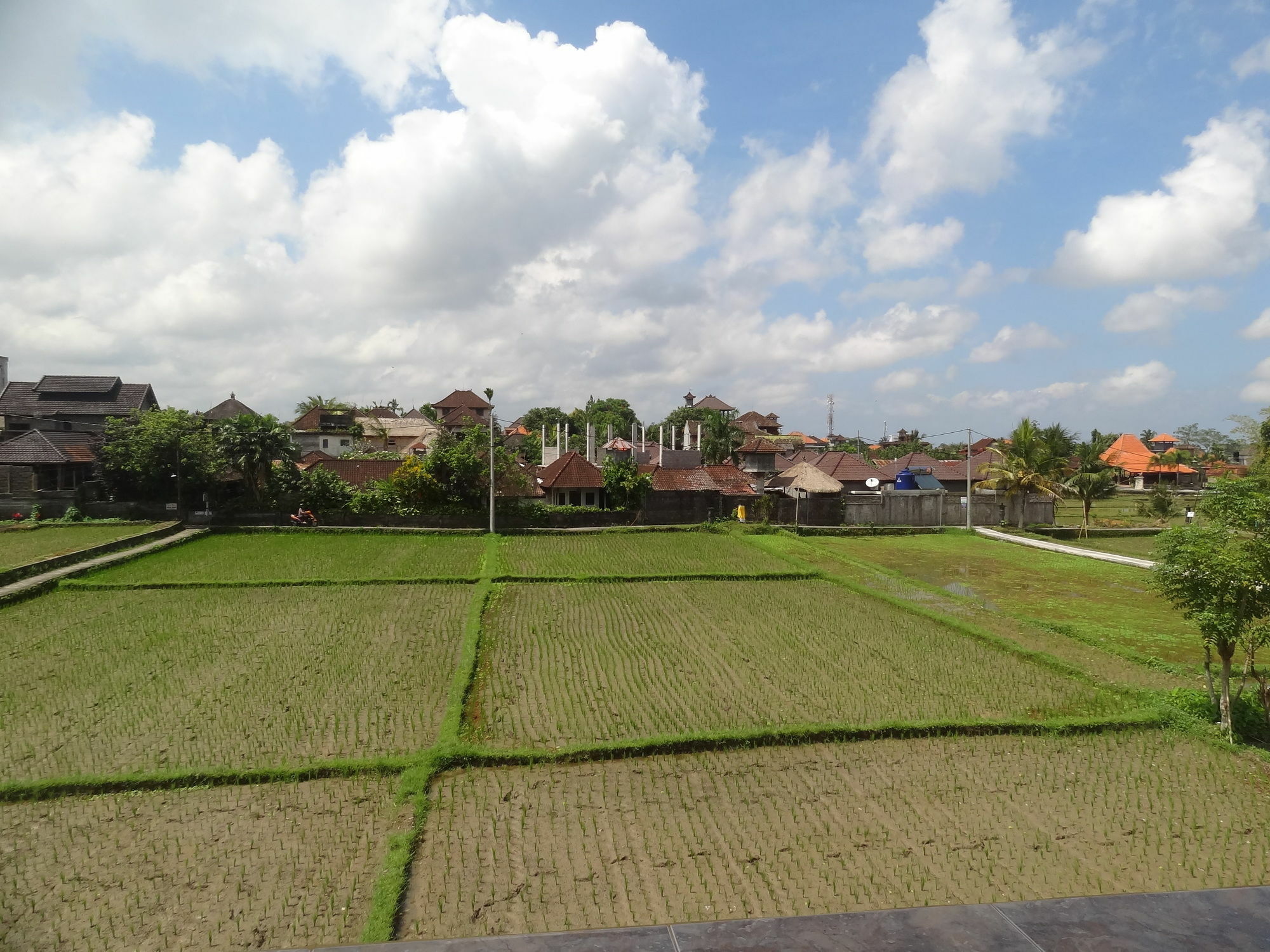 Hibiscus Cottages Ubud Exterior foto