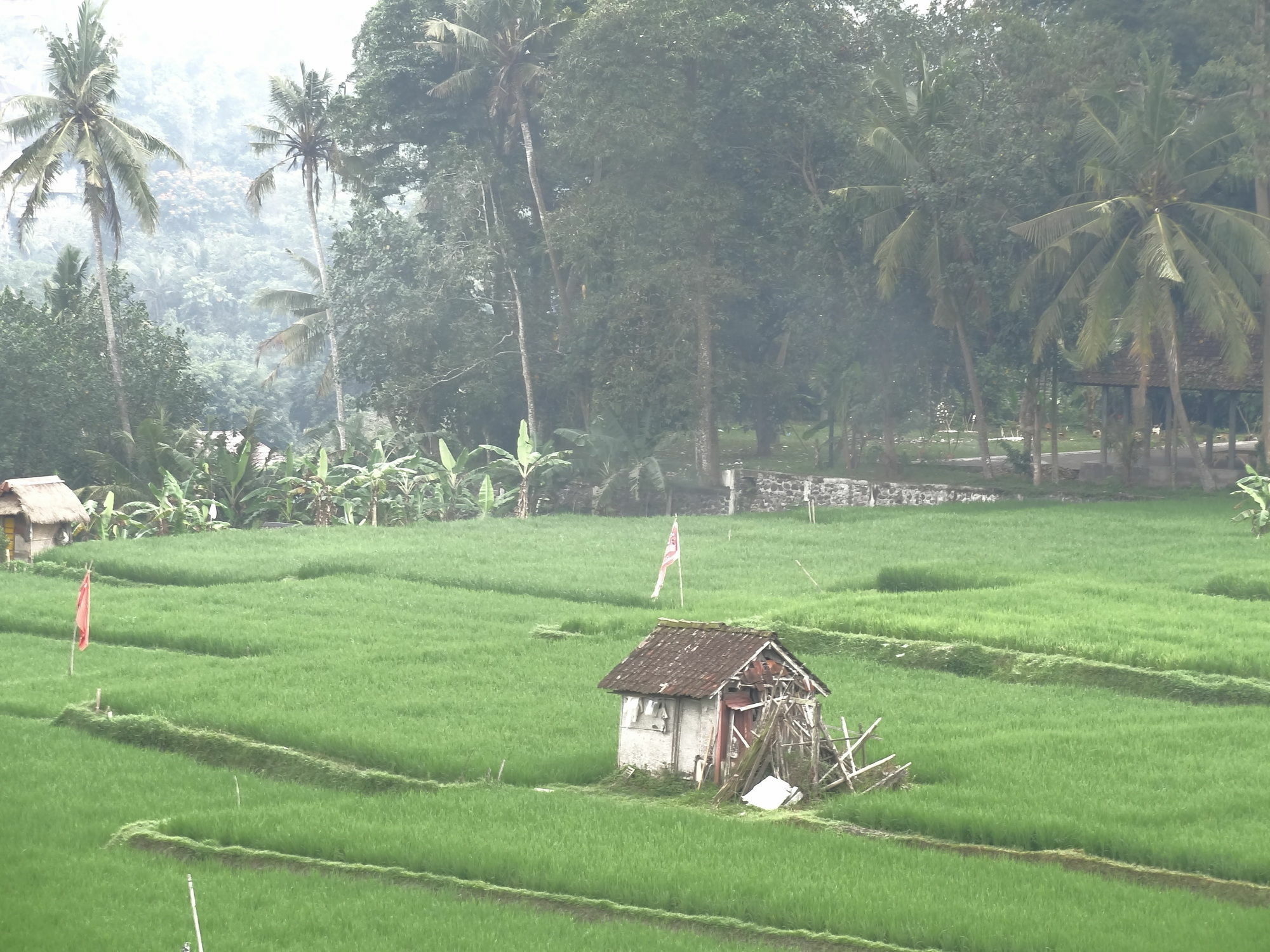 Hibiscus Cottages Ubud Exterior foto